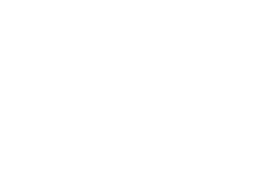 logo-risveglio-reiki-bianco
