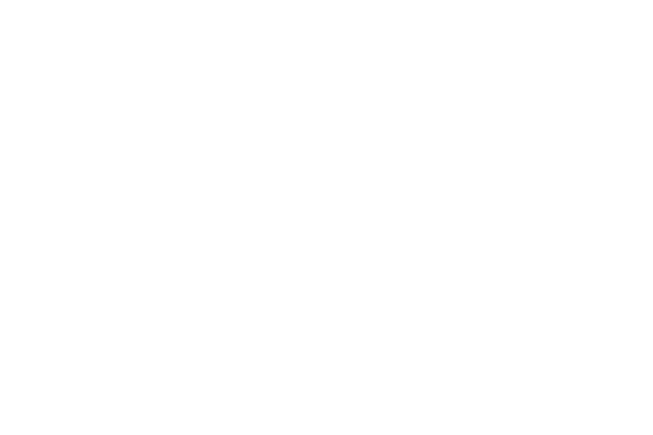 logo-risveglio-reiki-bianco